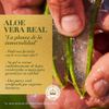 Shampoo-Herbal-Essences-6X-Aloe-Mango-400ml-4-209591499