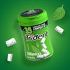 Chicles-Sin-Az-car-Trident-Sabor-Yerbabuena-45-5g-3-351649303