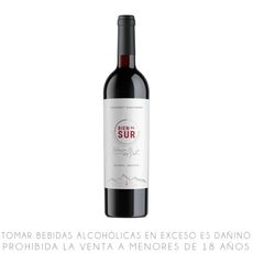 Vino-Tinto-Cabernet-Sauvignon-Bien-al-Sur-Modern-Botella-750ml-1-351672329