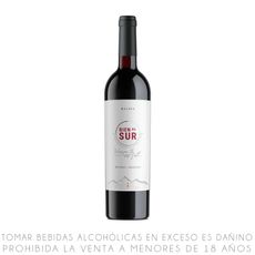 Vino-Tinto-Malbec-Bien-al-Sur-Modern-Botella-750ml-1-351672328