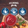 Ketchup-Hellmann-s-250g-3-351672596