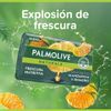 Tripack-Jab-n-en-Barra-Palmolive-Mandarina-y-Romero-110g-6-351665623