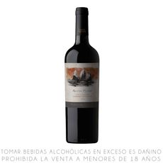 Vino-Tinto-Cabernet-Sauvignon-Puente-Austral-Reserva-Privada-Botella-750ml-1-351673437