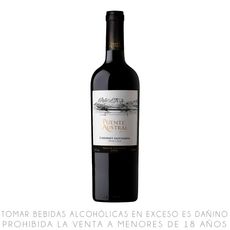 Vino-Tinto-Cabernet-Sauvignon-Puente-Astral-Selecci-n-Botella-750ml-1-351673435