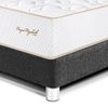 Cama-Royal-Elizabeth-1-5-Plaza-Charcoal-3-351650514