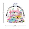 Piano-Pataditas-Fisher-Price-Musicales-6-351671960