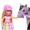 Barbie-Chelsea-Paseo-en-Pony-5-351669687