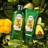 Pack-Herbal-Essences-Pequi-Palta-Shampoo-400ml-Acondicionador-250ml-2-351674147