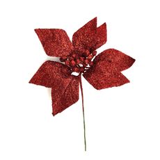 POINSETTIA-BASICA-ROJA-15CM-XS-NAV24-1-351670300