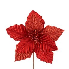 POINSETTIA-BASICA-ROJA-21CM-S-50CM-NAV24-1-351670302