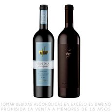 Pack-Vino-Tinto-Botella-750ml-Blend-Almanegra-Malbec-S-ptima-1-351676978