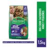 Alimento-Seco-Dog-Chow-Cachorro-Minis-y-Peque-os-1-5Kg-1-351674204