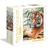 Rompecabezas-1000-Sumatran-Tiger-Square-Box-1-351676679
