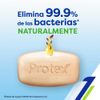 Tripack-Jab-n-en-Barra-Protex-Nutri-Protect-Vitamina-E-110g-2-251