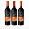 VINO-N-CORREAS-COLEC-PRIV-MALBEC-X750-X3-1-351678013