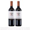 VINO-CASILLERO-DIABLO-CARMENERE-750-X2-1-351678119