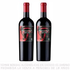 Twopack-Vino-Tinto-Blend-Caballo-Loco-Grand-Cru-Maipo-Andes-750ml-1-351678182