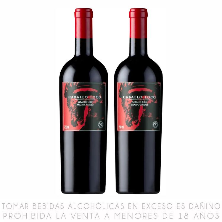 Twopack-Vino-Tinto-Blend-Caballo-Loco-Grand-Cru-Maipo-Andes-750ml-1-351678182