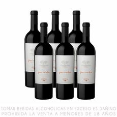 Sixpack-Vino-Tinto-Blend-Privada-Botella-750ml-1-351678180