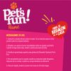 Carpeta-de-Adiestramiento-Pet-s-Fun-Care-15un-4-220721141