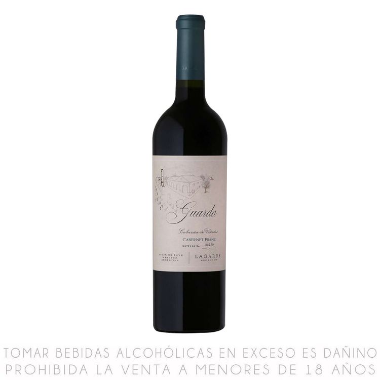 Vino-Tinto-Cabernet-Franc-Lagarde-Guarda-Botella-750ml-1-351678002