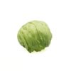 Lechuga-Am-xunid-Perulab-2-118427732