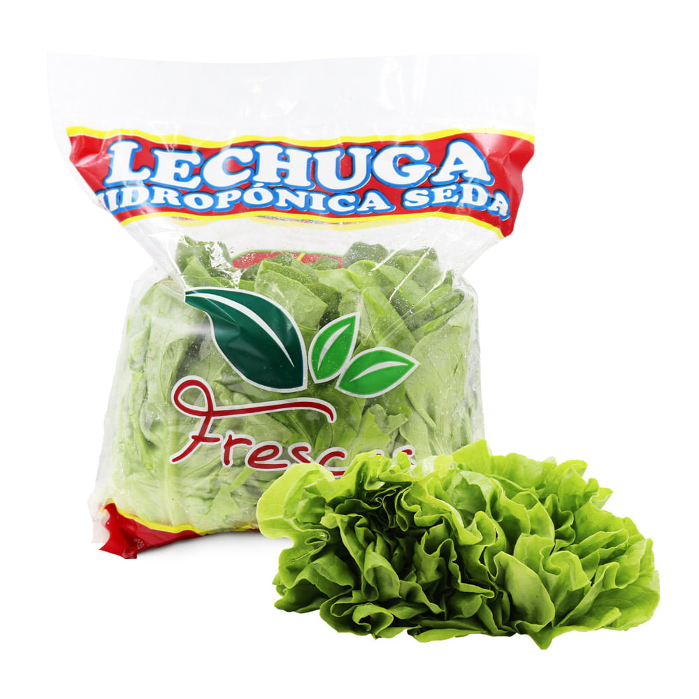 Lechuga de Seda Hidropónica Frescas x un