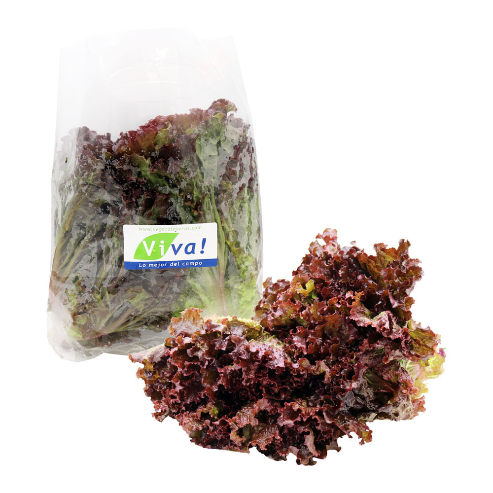 Lechuga Crespa Roja Viva