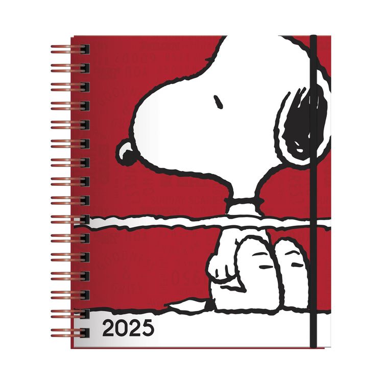 AGENDA-2025-SNOOPY-1-351678914