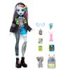 Monster-High-Frankie-Nuevo-Look-2-351678393