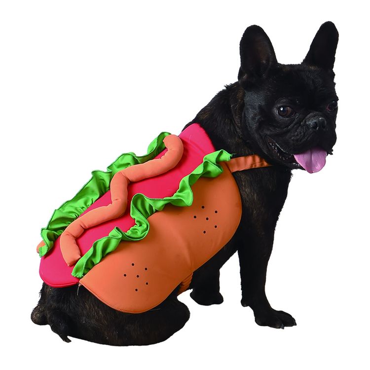 Disfraz-Mascota-Hot-Dog-1-351642624