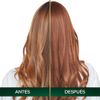 Tinte-para-Cabello-Nutrisse-Oleos-Tono-7-35-Rubio-Dorado-Caoba-3-351681314