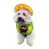 Disfraz-para-Mascota-Party-Dog-Palta-1-351642623