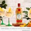 Gin-Tanqueray-Flor-de-Sevilla-Botella-700ml-Fourpack-Agua-T-nica-Britvic-Lata-150ml-2-351663581