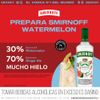 Vodka-Smirnoff-Watermelon-Botella-700-ml-Ginger-Ale-Evervess-Botella-1-5-L-4-201344759