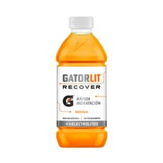 Bebida-Rehidratante-Gatorlit-Recover-Naranja-Botella-591ml-1-351683964