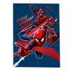 Set-Libro-para-Colorear-Spiderman-Colores-5un-5-351685802