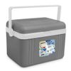 COOLER-4-5L-GRIS-MAT-1-351685790