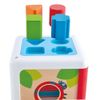 Cubo-para-Insertar-Hape-Play-Essentials-2-351685190