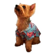 Camisa-Yupi-The-Pug-Hawaiana-Flores-1-351667027