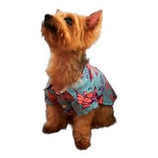 Camisa-Yupi-The-Pug-Hawaiana-Flores-1-351667031