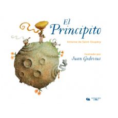 Libro-Book-el-Principito-1-351672951