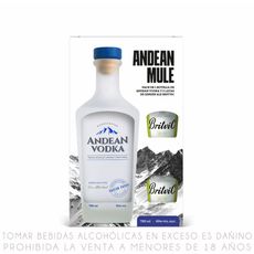 Pack-Andean-Mule-Andean-Vodka-700ml-Ginger-Ale-Britvic-2un-1-351687196