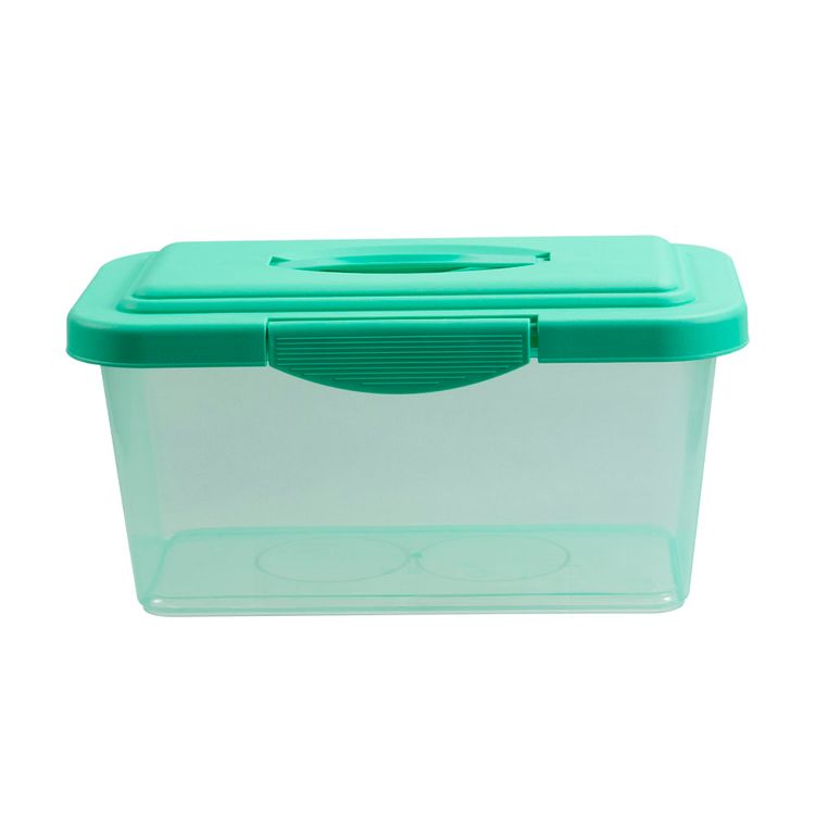 Caja-Krea-Organizadora-6L-Color-Transparente-Menta-1-351682094