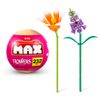 Capsula-Coleccion-Flores-Max-CAPSULA-COLECCION-FLORES-MAX-5-351692311