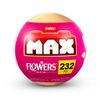 Capsula-Coleccion-Flores-Max-CAPSULA-COLECCION-FLORES-MAX-6-351692311