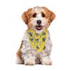 Bandana-Rever-Collar-Stitch-Yellow-S-1-351695515