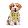 Bandana-Rever-Collar-Stitch-Yellow-L-1-351695514
