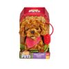 Cockapoo-Camina-y-Ladra-Pitter-Patter-Pets-1-351696740