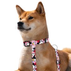 Harness-Minnie-Daysi-Pink-Small-1-351696218